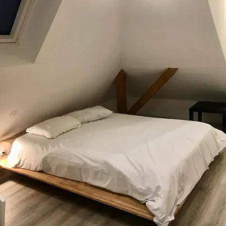 Appartement Chaleureux Et Lumineux Avec Vue ! Au Centre Alsace Selestat Exterior photo