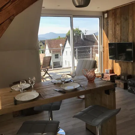 Appartement Chaleureux Et Lumineux Avec Vue ! Au Centre Alsace Selestat Exterior photo