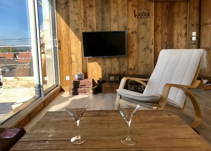 Appartement Chaleureux Et Lumineux Avec Vue ! Au Centre Alsace