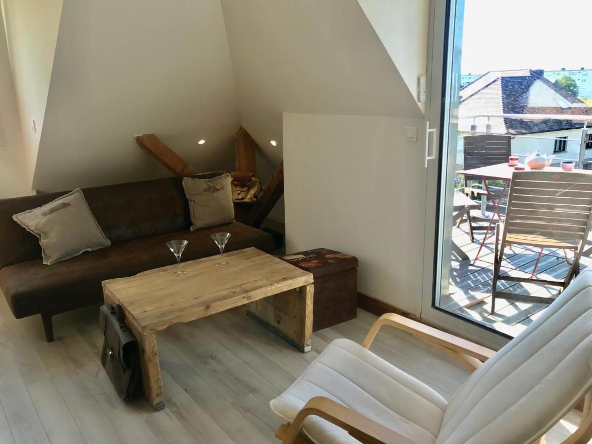 Chaleureux Et Lumineux Avec Vue ! Au Centre Alsace Apartment