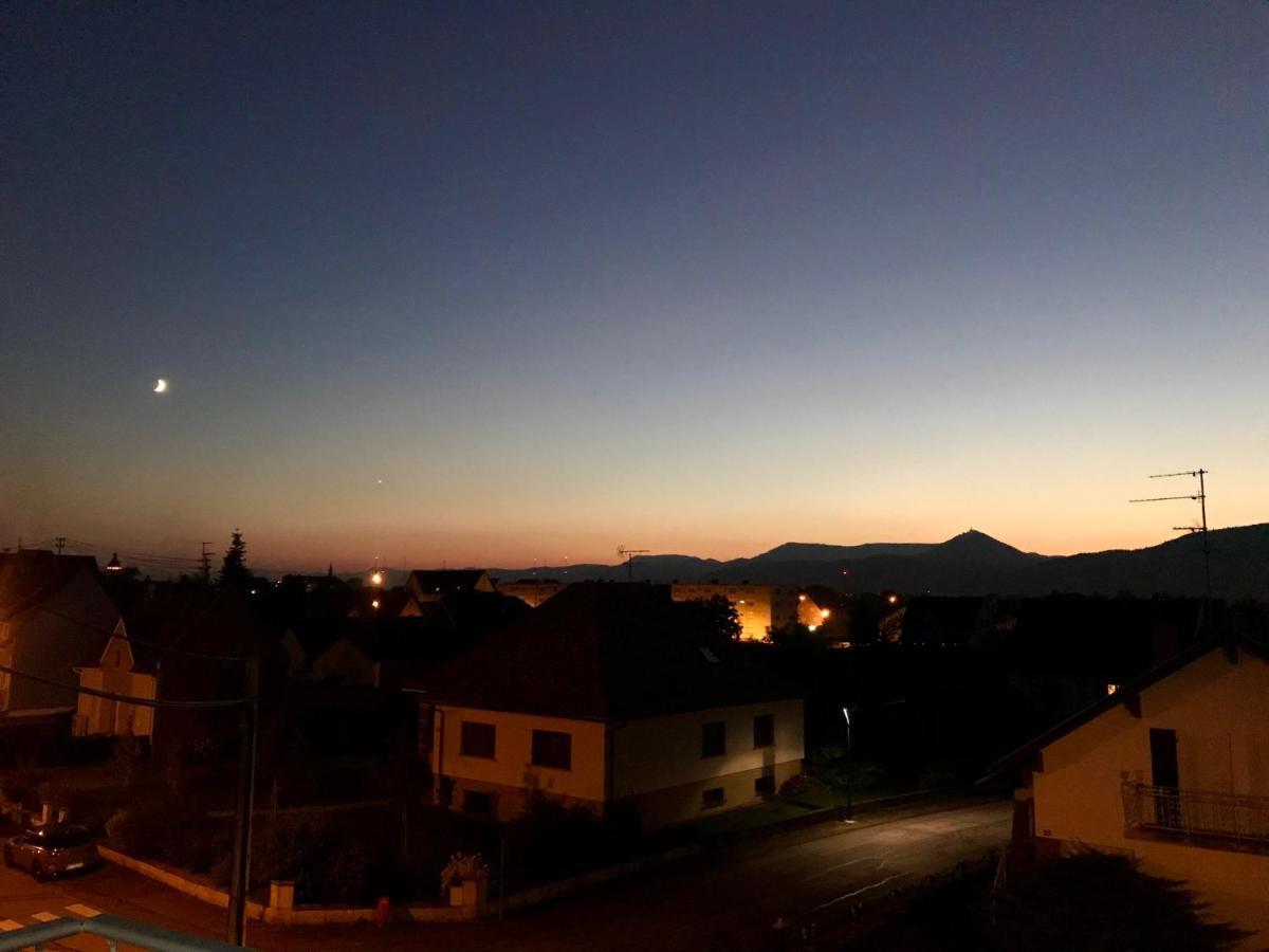 Chaleureux Et Lumineux Avec Vue ! Au Centre Alsace *